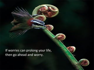 If worries can prolong your life,
then go ahead and worry.
 
