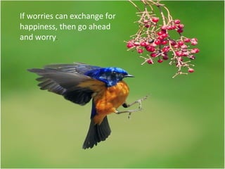 If worries can exchange for
happiness, then go ahead
and worry.
 