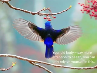 Your old body – pay more
attention to health, you can
only rely on yourself in this.
 