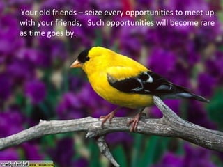 Your old friends – seize every opportunities to meet up
with your friends, Such opportunities will become rare
as time goes by.
 