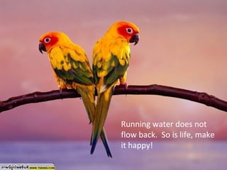 Running water does not
flow back. So is life, make
it happy!
 