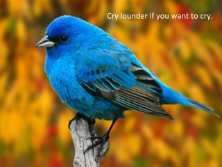 Cry lounder if you want to cry.
 