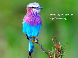 Life ends; when you
stop Dreaming,
 