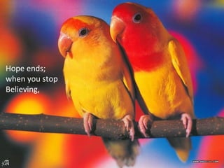Hope ends;
when you stop
Believing,
 