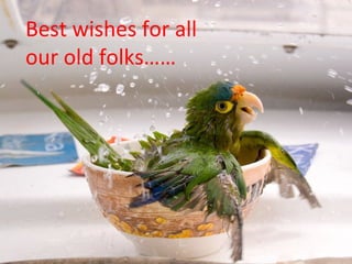 Best wishes for all
our old folks……
 