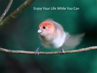 Enjoy Your Life While You Can
 