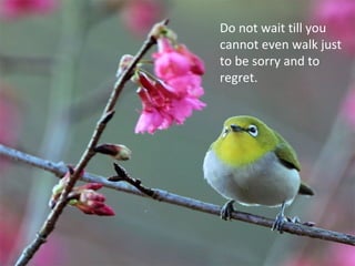 Do not wait till you
cannot even walk just
to be sorry and to
regret.
 