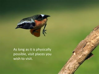 As long as it is physically
possible, visit places you
wish to visit.
 