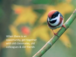 When there is an
opportunity, get together
with old classmates, old
colleagues & old friends
 