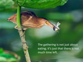 The gathering is not just about
eating; it’s just that there is not
much time left.
 
