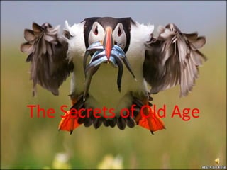 The Secrets of Old Age
 