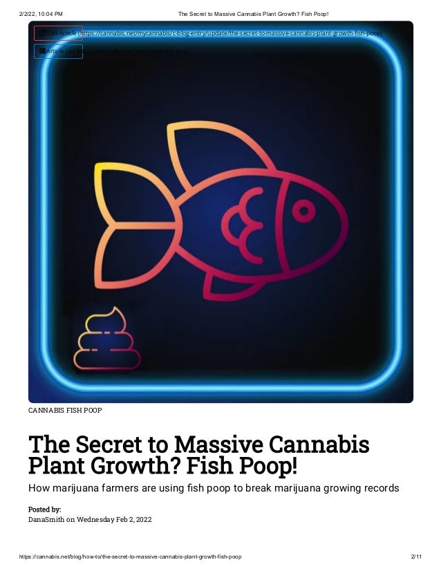 Why Fish Poop Can Help You Grow Massive Cannabis Plants