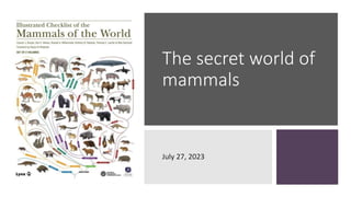 The secret world of
mammals
July 27, 2023
 