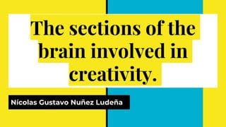 The sections of the
brain involved in
creativity.
Nícolas Gustavo Nuñez Ludeña
 