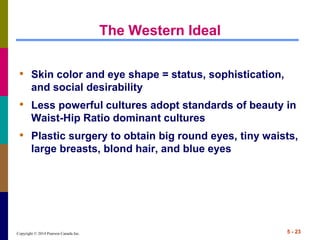 Copyright © 2014 Pearson Canada Inc. 5 - 23
The Western Ideal
• Skin color and eye shape = status, sophistication,
and social desirability
• Less powerful cultures adopt standards of beauty in
Waist-Hip Ratio dominant cultures
• Plastic surgery to obtain big round eyes, tiny waists,
large breasts, blond hair, and blue eyes
 