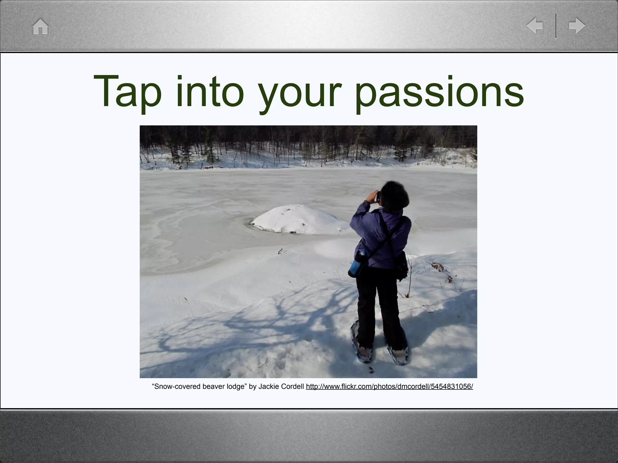 Tap into your passions




   “Snow-covered beaver lodge” by Jackie Cordell http://www.flickr.com/photos/dmcordell/5454831056/
 