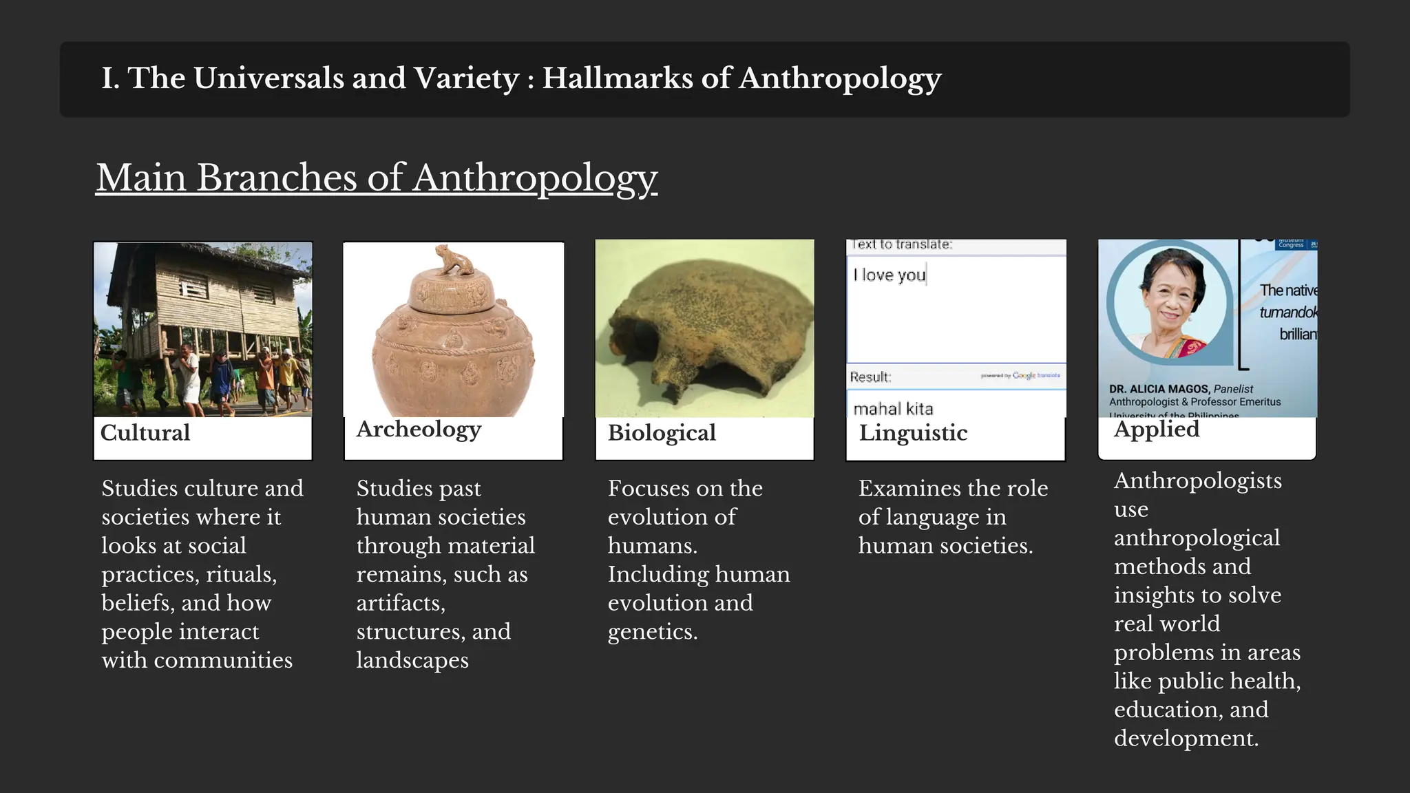 希少Social Anthropology in Perspective Social Anthropology in