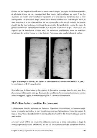Chapitre III: Etude du problème de surconsolidation en surface 99
Guinée. Ce pic n'a pas été corrélé avec d'autres caractéristiques physiques des sédiments (indice
de plasticité, teneur en eau, granulométrie). Les images radiographiques au rayon X sur les
sédiments ont montré une bioturbation importante, avec une présence de terriers dans la zone
correspondant à la profondeur du pic (30-40 cm au dessous de la surface). Sur la Figure III-11, la
zone où se trouve le pic est caractérisée par une couleur plus claire, ce qui veut dire une densité
plus élevée. De plus, les terriers remplis par des grains plus denses identifiés comme des grains de
pyrites framboïdales semblent bien corrélés avec la zone où se trouve le pic. Ehlers et al. ont
supposé que la bioturbation couplée avec les altérations géochimiques dans les matériaux
remplissant des terriers, comme la pyrite, étaient à l'origine de cette couche indurée de surface.
Figure III-11 Images au scanner X des carottes de sédiment en surface: bioturbation (Ehlers et al., 2005).
La carotte de sol est de 10 cm de diamètre.
Il est clair que la bioturbation et l’oxydation de la matière organique dans les sols sont deux
phénomènes indépendants mais qui dépendent des conditions d'environnement communes comme
le taux d'oxygène, l'apport de matière organique et la vitesse de sédimentation.
III.4.3. Bioturbation et conditions d'environnement
La bioturbation dans les sédiments est fortement dépendante des conditions environnementales:
teneur en oxygène au fond de la mer, température, sources d’alimentation, vitesse de courant de
l'eau au fond, vitesse de sédimentation dans la zone et surtout type des faunes benthiques dans la
zone étudiée.
Löwemark et al. (2004) ont observé les sédiments marins de la pente continentale au large du
Portugal (profondeur d'eau 600-1800m). Ils ont fait une synthèse des types de terriers observés.
 