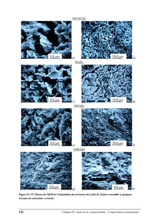 142 Chapitre IV: Etude de la compressibilité – Comportement oedométrique
INTACTS
a) b)
50 kPa
c) d)
200 kPa
e) f)
1600 kPa
g) h)
Figure IV-33. Photos du MEB de l'échantillon du sol intact du Golfe de Guinée consolidé à quelques
niveaux de contrainte verticale.
2.0 μm 10.0 μm
10.0 μm2.0 μm
2.0 μm 4.0 μm
2.0 μm 10.0 μm
 