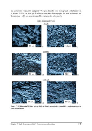 Chapitre IV Etude de la compressibilité - Comportement oedométrique 145
pas les volumes poreux intra-agrégats (r < 0.1 µm). Seuls les liens inter-agrégats sont affectés. Sur
la Figure IV-37-a, on voit que le diamètre des pores inter-agrégats des sols reconstitués est
d’environ de 1 à 1.5 μm, assez comparables avec ceux des sols naturels.
SOLS RECONSTITUES
50 kPa
a) b)
200 kPa
c) d)
1600 kPa
e) f)
Figure IV-37. Photos du MEB des sols du Golfe de Guinée reconstitués et consolidés à quelques niveaux de
contrainte verticale
2.0 μm
2.0 μm
2.0 μm
4.0 μm
10.0
4.0 μm
 