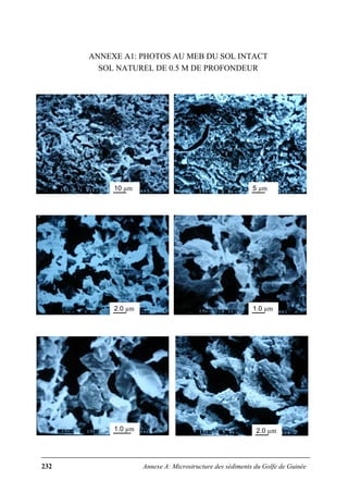 232 Annexe A: Microstructure des sédiments du Golfe de Guinée
ANNEXE A1: PHOTOS AU MEB DU SOL INTACT
SOL NATUREL DE 0.5 M DE PROFONDEUR
10 µm 5 µm
2.0 µm 1.0 µm
1.0 µm 2.0 µm
 