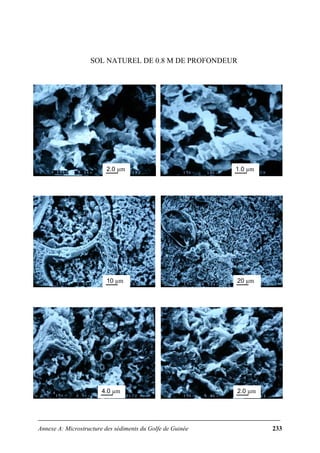 Annexe A: Microstructure des sédiments du Golfe de Guinée 233
SOL NATUREL DE 0.8 M DE PROFONDEUR
2.0 µm 1.0 µm
10 µm 20 µm
4.0 µm 2.0 µm
 