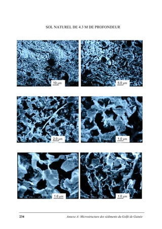 234 Annexe A: Microstructure des sédiments du Golfe de Guinée
SOL NATUREL DE 4.3 M DE PROFONDEUR
10 µm 5.0 µm
2.0 µm 1.0 µm
1.0 µm 1.0 µm
 