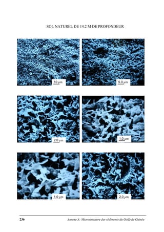 236 Annexe A: Microstructure des sédiments du Golfe de Guinée
SOL NATUREL DE 14.2 M DE PROFONDEUR
10 µm 5.0 µm
2.0 µm
1.0 µm
1.0 µm 2.0 µm
 