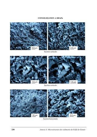 238 Annexe A: Microstructure des sédiments du Golfe de Guinée
CONSOLIDATION A 200 kPa
Section verticale
Section verticale
Section horizontale
5.0 µm 2.0 µm
1.0 µm 1.0 µm
10 µm 2.0 µm
 