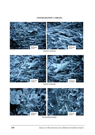 240 Annexe A: Microstructure des sédiments du Golfe de Guinée
CONSOLIDATION A 1600 kPa
Section verticale
Section verticale
Section horizontale
5.0 µm 2.0 µm
1.0 µm 1.0 µm
2.0 µm 1.0 µm
 