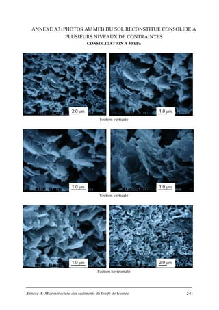 Annexe A: Microstructure des sédiments du Golfe de Guinée 241
ANNEXE A3: PHOTOS AU MEB DU SOL RECONSTITUE CONSOLIDE À
PLUSIEURS NIVEAUX DE CONTRAINTES
CONSOLIDATION A 50 kPa
Section verticale
Section verticale
Section horizontale
2.0 µm 1.0 µm
1.0 µm 1.0 µm
1.0 µm 2.0 µm
 