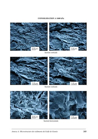 Annexe A: Microstructure des sédiments du Golfe de Guinée 243
CONSOLIDATION A 1600 kPa
Section verticale
Section verticale
Section horizontale
2.0 µm 1.0 µm
1.0 µm 1.0 µm
2.0 µm 1.0 µm
 