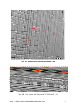 Chapitre II: Caractérisation générale des sédiments du Golfe de Guinée 53
N
STA-P5
STA-P2
STA-B1
STA-B3
NN
STA-P5
STA-P2
STA-B1
STA-B3
Figure II-20 Image sismique de la zone d'étude (image de Total)
Figure II-21 Coupe sismique au droit du sondage STA B1 (image de Total)
1 km
15m
 