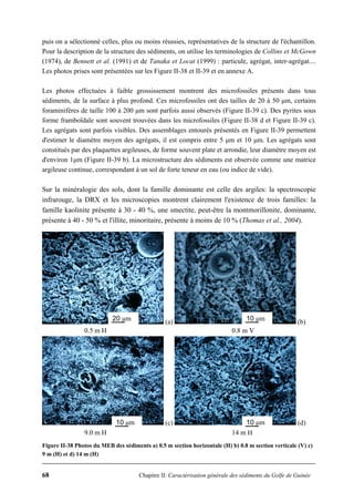 68 Chapitre II: Caractérisation générale des sédiments du Golfe de Guinée
puis on a sélectionné celles, plus ou moins réussies, représentatives de la structure de l'échantillon.
Pour la description de la structure des sédiments, on utilise les terminologies de Collins et McGown
(1974), de Bennett et al. (1991) et de Tanaka et Locat (1999) : particule, agrégat, inter-agrégat....
Les photos prises sont présentées sur les Figure II-38 et II-39 et en annexe A.
Les photos effectuées à faible grossissement montrent des microfossiles présents dans tous
sédiments, de la surface à plus profond. Ces microfossiles ont des tailles de 20 à 50 μm, certains
foraminifères de taille 100 à 200 μm sont parfois aussi observés (Figure II-39 c). Des pyrites sous
forme framboïdale sont souvent trouvées dans les microfossiles (Figure II-38 d et Figure II-39 c).
Les agrégats sont parfois visibles. Des assemblages entourés présentés en Figure II-39 permettent
d'estimer le diamètre moyen des agrégats, il est compris entre 5 μm et 10 μm. Les agrégats sont
constitués par des plaquettes argileuses, de forme souvent plate et arrondie, leur diamètre moyen est
d'environ 1μm (Figure II-39 b). La microstructure des sédiments est observée comme une matrice
argileuse continue, correspondant à un sol de forte teneur en eau (ou indice de vide).
Sur la minéralogie des sols, dont la famille dominante est celle des argiles: la spectroscopie
infrarouge, la DRX et les microscopies montrent clairement l'existence de trois familles: la
famille kaolinite présente à 30 - 40 %, une smectite, peut-être la montmorillonite, dominante,
présente à 40 - 50 % et l'illite, minoritaire, présente à moins de 10 % (Thomas et al., 2004).
(a) (b)
0.5 m H 0.8 m V
(c) (d)
9.0 m H 14 m H
Figure II-38 Photos du MEB des sédiments a) 0.5 m section horizontale (H) b) 0.8 m section verticale (V) c)
9 m (H) et d) 14 m (H)
20 μm 10 μm
10 μm 10 μm
 