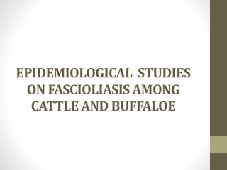 EPIDEMIOLOGICAL STUDIES
ON FASCIOLIASIS AMONG
CATTLE AND BUFFALOE
 