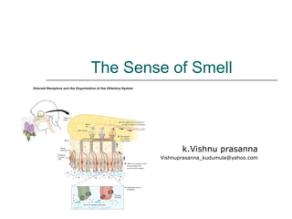 The Sense of Smell
k.Vishnu prasanna
Vishnuprasanna_kudumula@yahoo.com
 