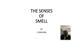 THE SENSES
OF
SMELL
BY
J. MWELWA
 