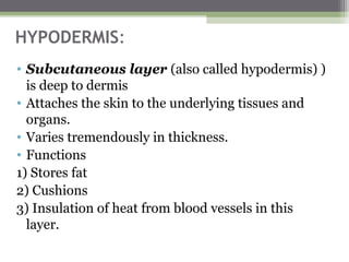 The sense of touch, pain & temperature | PPT