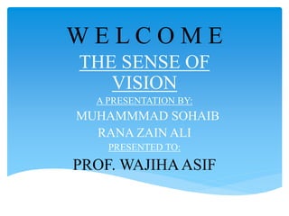 W E L C O M E
THE SENSE OF
VISION
A PRESENTATION BY:
MUHAMMMAD SOHAIB
RANA ZAIN ALI
PRESENTED TO:
PROF. WAJIHAASIF
 