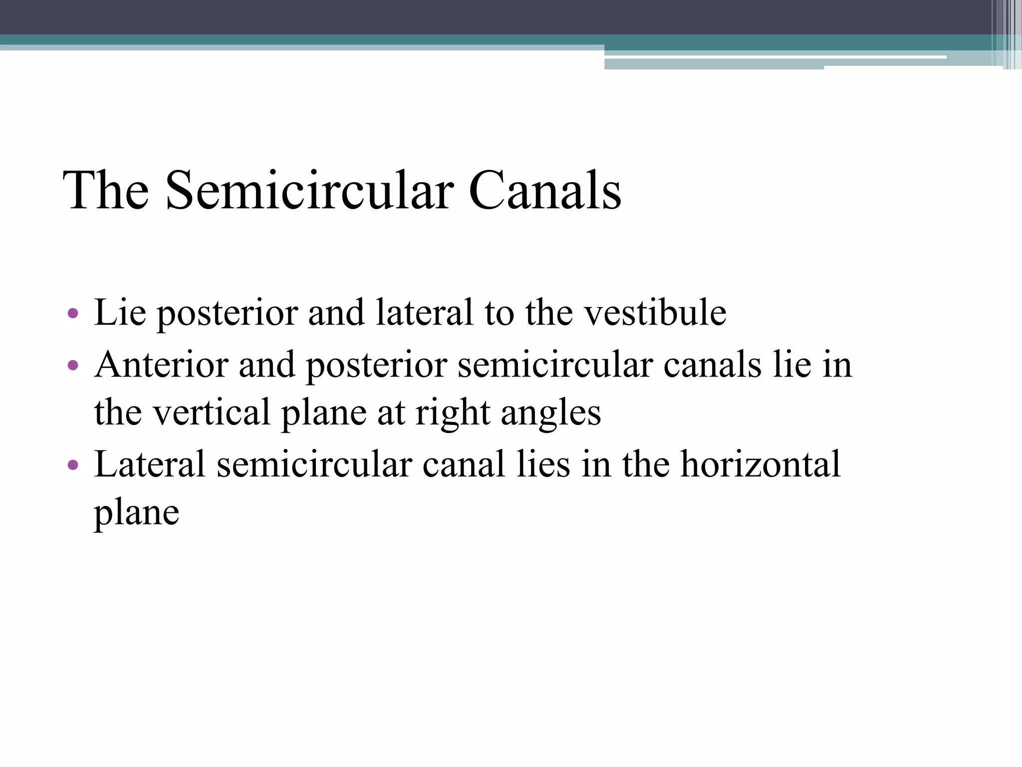 The Semicircular Canals
• Lie posterior and lateral to the vestibule
• Anterior and posterior semicircular canals lie in
the vertical plane at right angles
• Lateral semicircular canal lies in the horizontal
plane
 