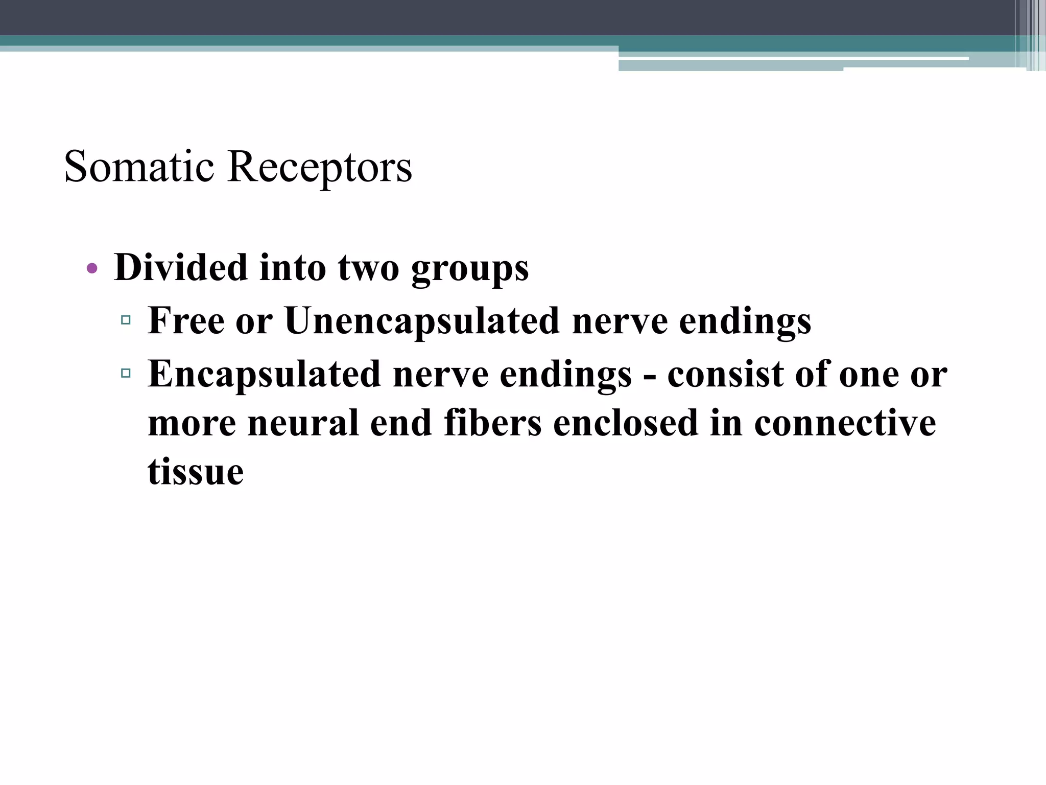 Somatic Receptors
• Divided into two groups
▫ Free or Unencapsulated nerve endings
▫ Encapsulated nerve endings - consist of one or
more neural end fibers enclosed in connective
tissue
 
