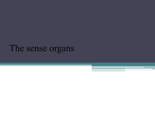 The sense organs
 
