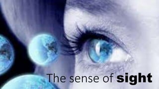 The sense of sight
 