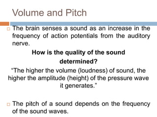 Volume and Pitch
 The brain senses a sound as an increase in the
frequency of action potentials from the auditory
nerve.
...