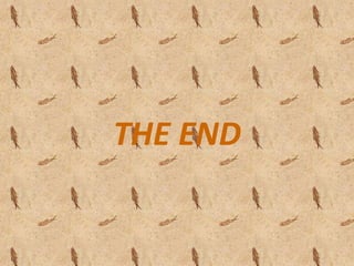 THE END
 