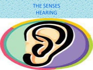 THE SENSES
 HEARING
 