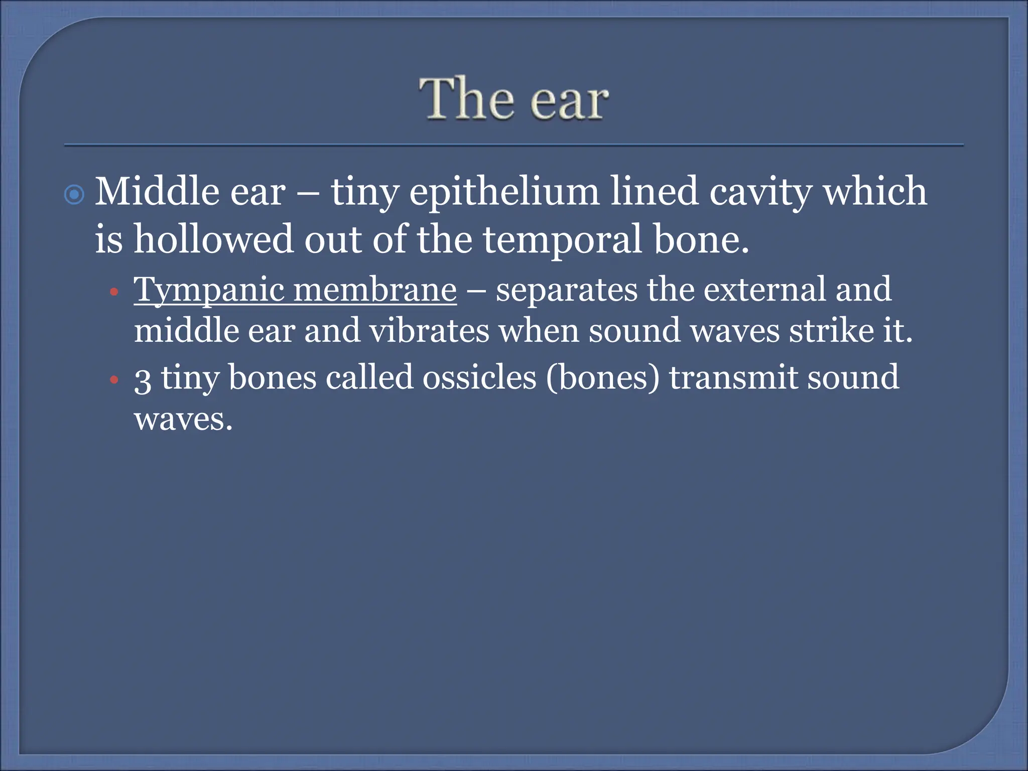 The Sensory Organs, Anatomy and Function | PPT