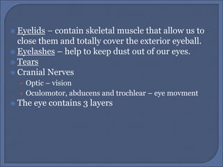  Eyelids – contain skeletal muscle that allow us to
close them and totally cover the exterior eyeball.
 Eyelashes – help to keep dust out of our eyes.
 Tears
 Cranial Nerves
• Optic – vision
• Oculomotor, abducens and trochlear – eye movment
 The eye contains 3 layers
 