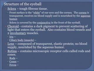  Structure of the eyeball
• Sclera – tough fibrous tissue.
 Front surface is the “white” of our eyes and the cornea. The cornea is
transparent, receives no blood supply and is nourished by the aqueous
humor.
 Sclera is covered by the conjunctiva in the front of the eyeball.
• Choroid - contains a dark pigment to prevent scattering of
light that enters the eyeball. Also contains blood vessels and
2 involuntary muscles.
 Iris –
 Ciliary body (muscle) –
• Lens – composed of transparent, elastic protein; no blood
supply, nourished by the aqueous humor.
• Retina – contains microscopic receptor cells called rods and
cones.
 Rods –
 Cones –
 Fovea –
 