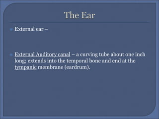  External ear –
 External Auditory canal – a curving tube about one inch
long; extends into the temporal bone and end at the
tympanic membrane (eardrum).
 